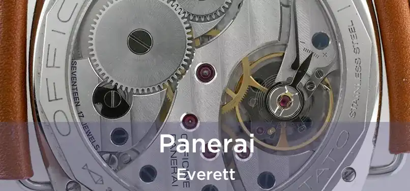 Panerai Everett