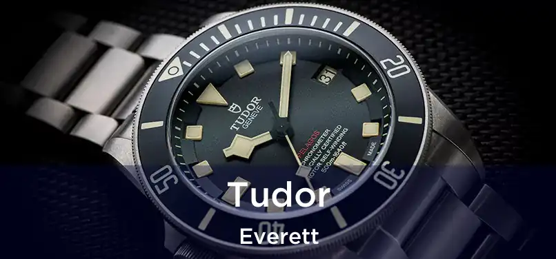 Tudor Everett